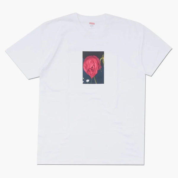 Supreme Araki Rose Tea White White