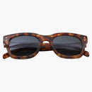 Supreme Avon Sunglasses Tortoise
