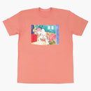 Nejvyšší ložnice čaj terra cotta