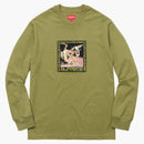 Najwyższa najlepsza na świecie herbata blada oliwka