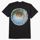 Nejvyšší čaj Blowfish Black