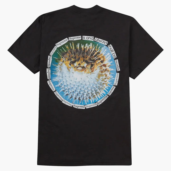 Nejvyšší čaj Blowfish Black