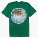 Supreme Blowfish Tea Light Pine