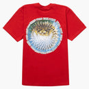 Supreme blowfish tea red