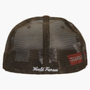 Nejvyšší box logo síťovně novou éru hnědé