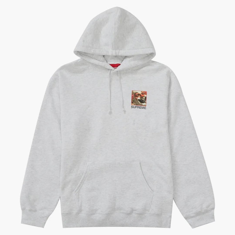 Supreme Butthole Surfers Hooded Sweatshirt Ash Grey