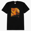 Supreme buthole surfers rembrandt pussyhorse tea black