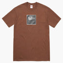 Supreme Chair Tea Brown