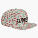 Supreme Cherries 5-panel Natural