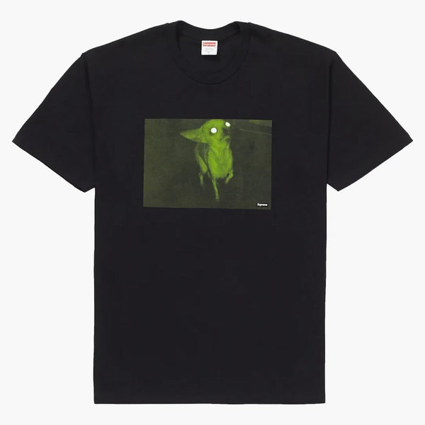 Nejvyšší Chris Cunningham Chihuahua Tea Black