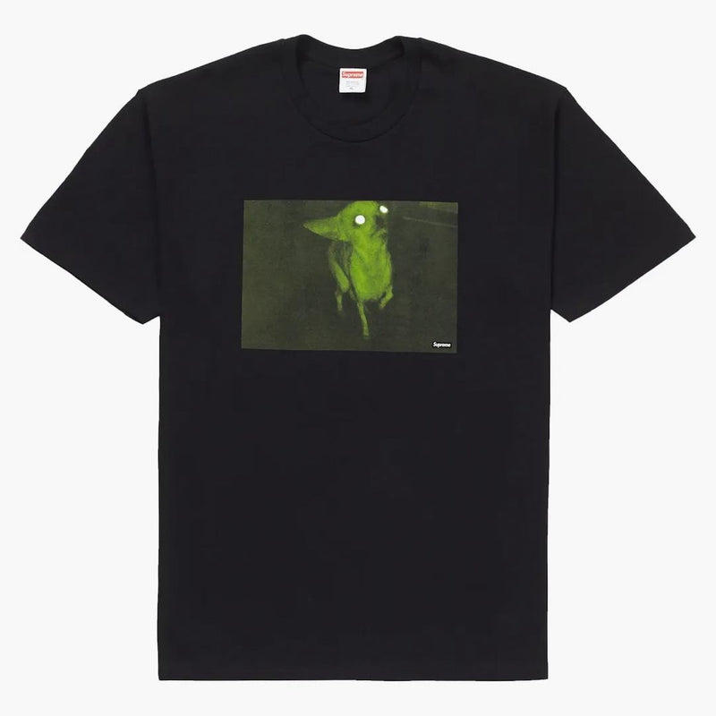 Nejvyšší Chris Cunningham Chihuahua Tea Black