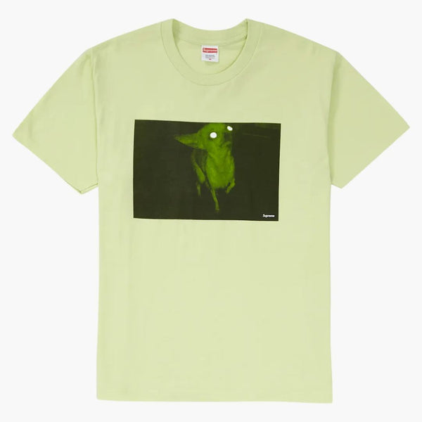 Suprem Chris Cunningham Chihuahua Tea Mint Pale