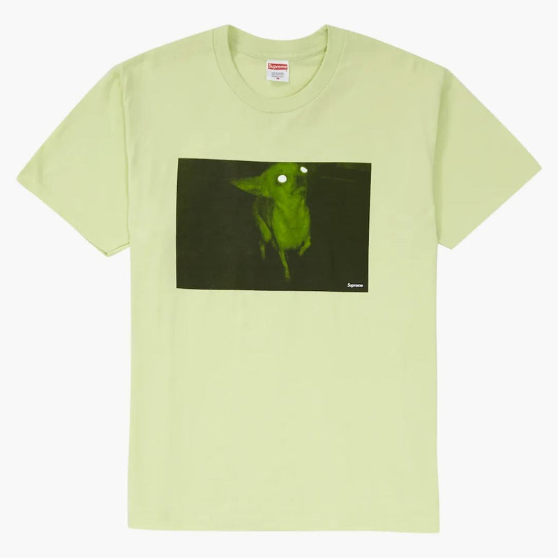 Suprem Chris Cunningham Chihuahua Tea Mint Pale