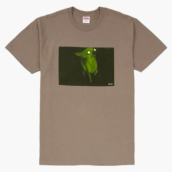 Supremo Chris Cunningham Chihuahua Tea Taupe