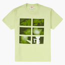 Supreme Chris Cunningham rubber johnny tea pale mint