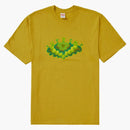 Supreme Cloud Tea Acid Yellow