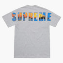 Supreme crash tea Heather gray