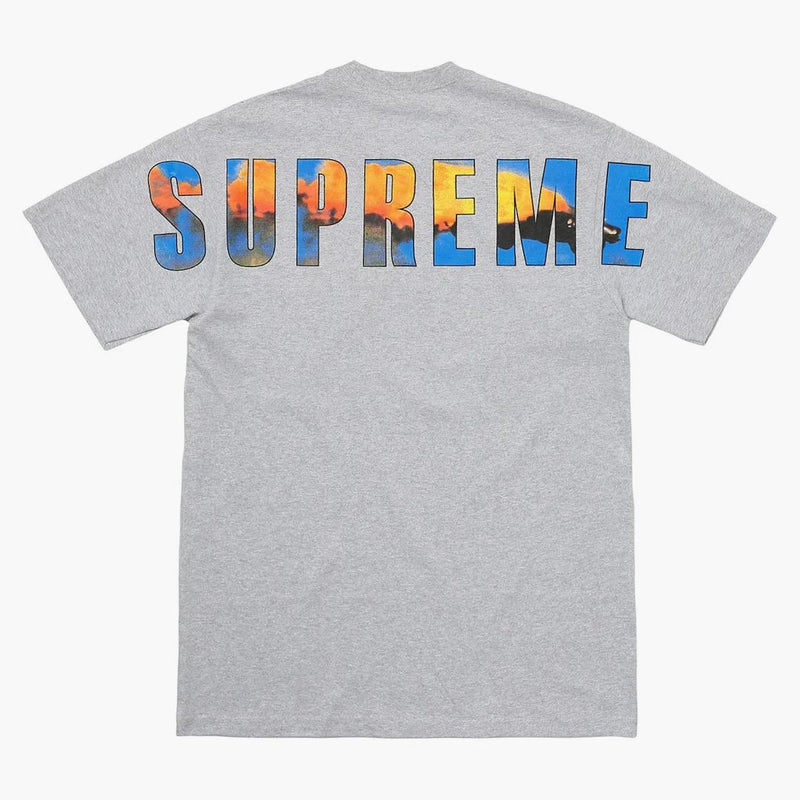 Nejvyšší havárie čaj Heather šedá