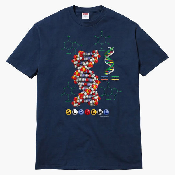 Högsta DNA -te marinen