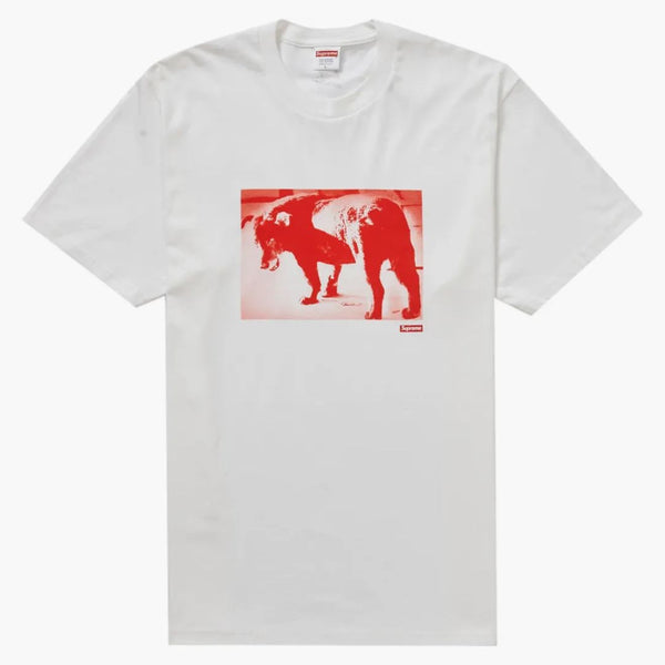 Supreme Daidō Moriyama Dog Tee White