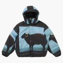 Supreme Damien Hirst Down buffer jacket black