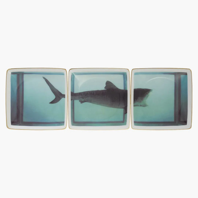 Nejvyšší Damien Hirst Rosenthal Tray (sada 3) Multicolor