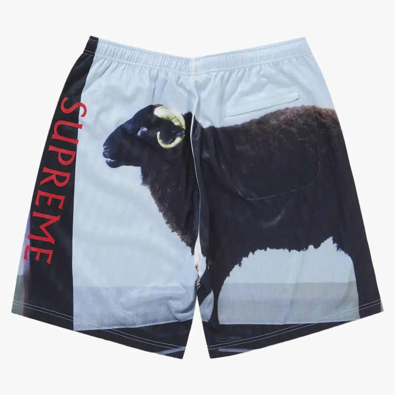 Supreme Soccer Short Black - Buy at Hypeneedz