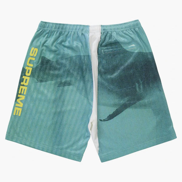 Supreme Damien Hirst Soccer Short White