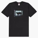 Nejvyšší čaj Damien Mü černý