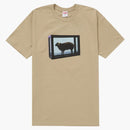 Kaki del tè supremo Damien Mü