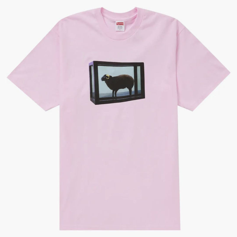 Nejvyšší Damien Hirst Tea Light Pink