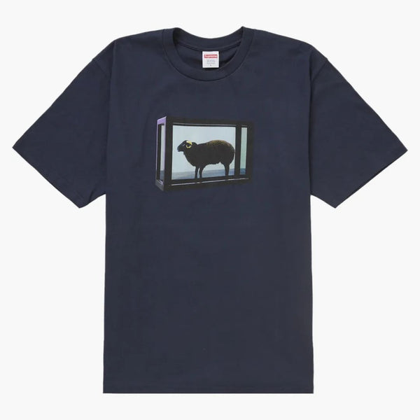 Supremo Damien Dirst Tea Navy