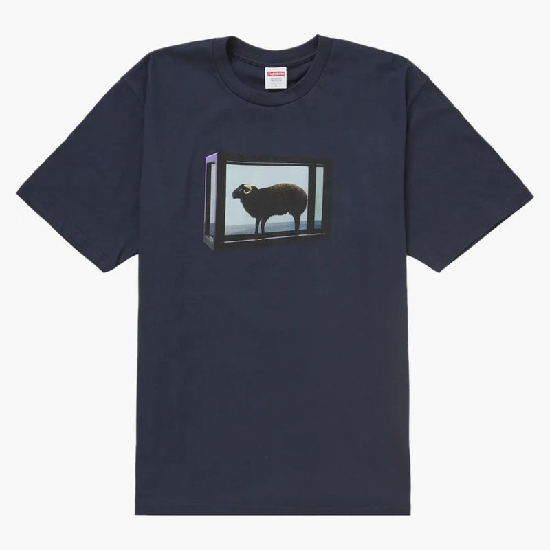 Supremo Damien Dirst Tea Navy
