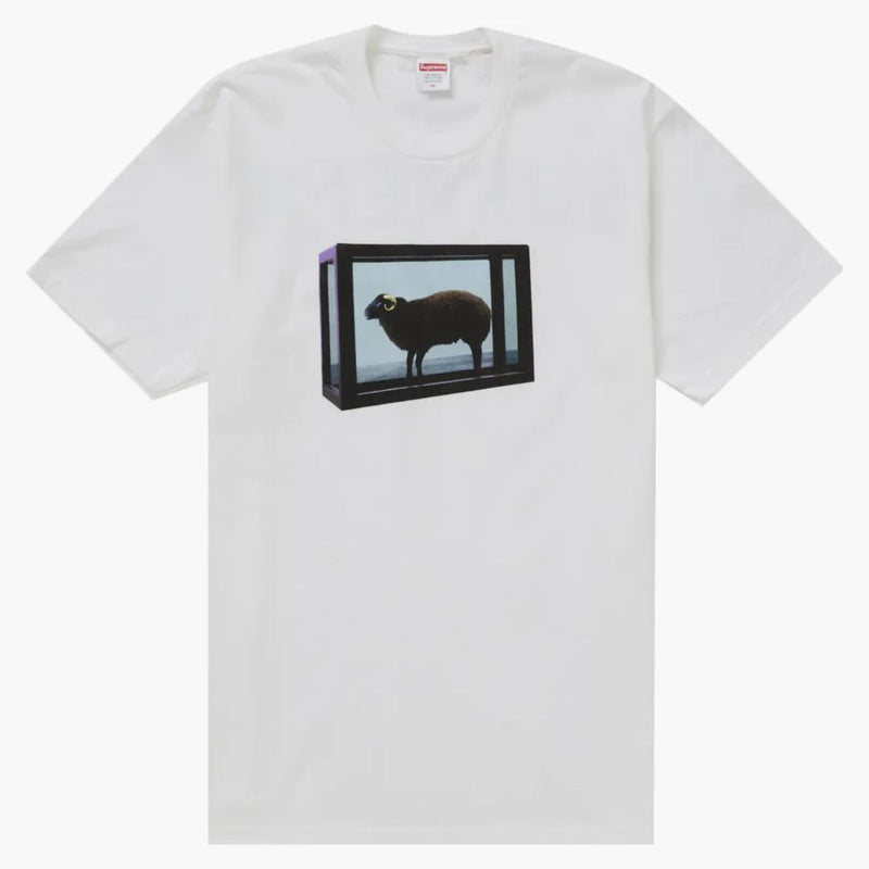 Nejvyšší Damien Hirst Tea White