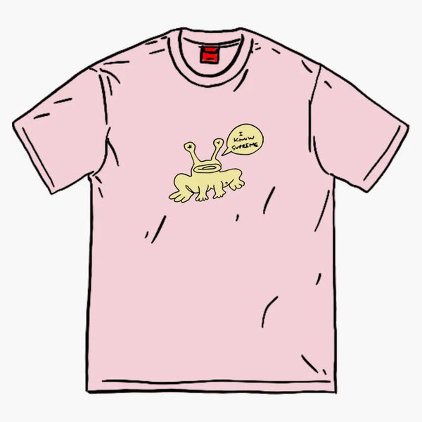 Nejvyšší Daniel Johnston Frog Tee Light Pink