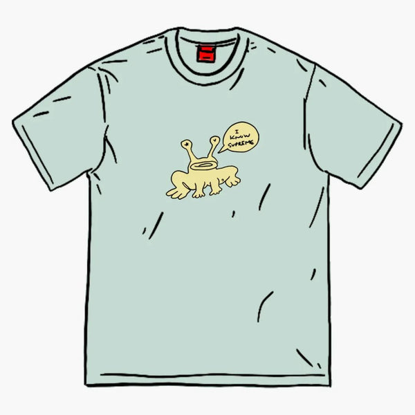 Nejvyšší Daniel Johnston Frog Tee Light Teal