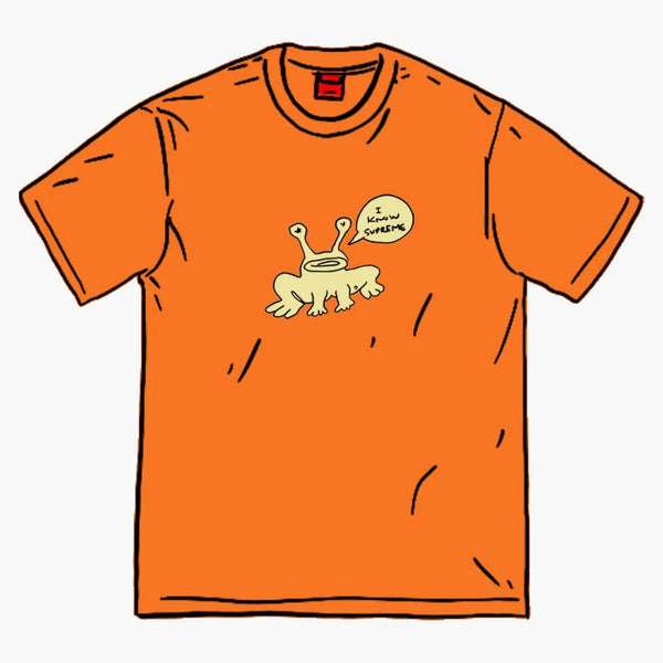 Nejvyšší Daniel Johnston Frog Tee Orange