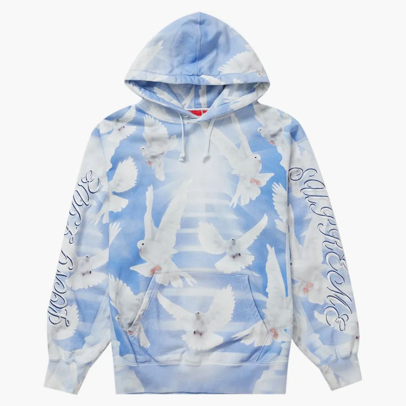 Supreme Doves Hooded Sweatshirt (ss22) Blue