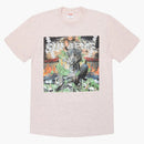 Supreme Dragon Tea Heather Pink