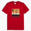 Supreme Dunk Tea red