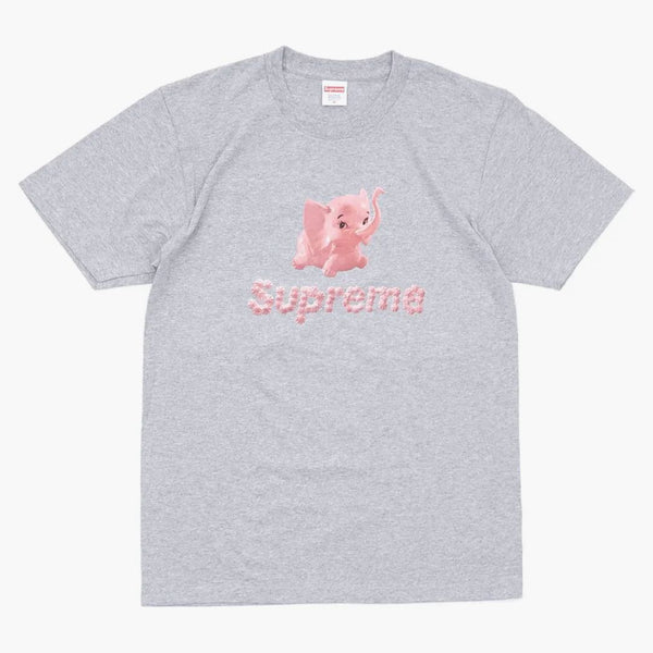 SUPREMO ELEFANT TEA GRIGI
