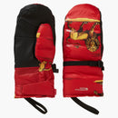 Högsta fjädervikt i lejon