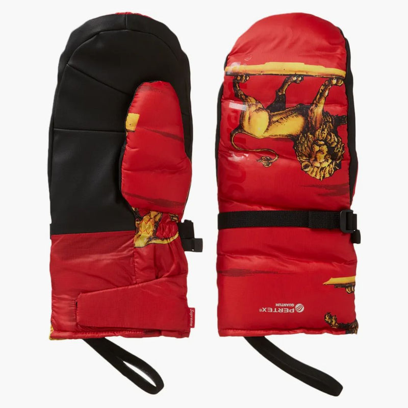 Supreme Featherweight Down in Lions