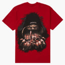 Supreme fighter tea red