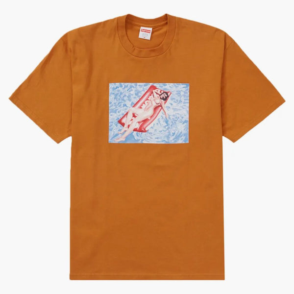 Nejvyšší plovák čaj Burnn Orange