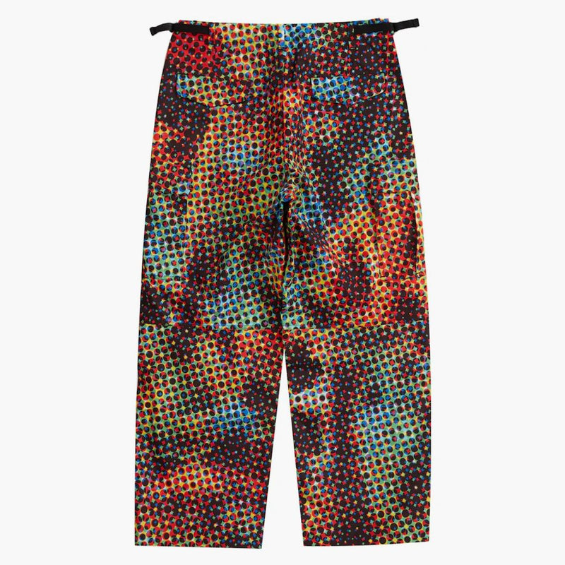 Supreme Gore-tex Paclite Cargo Pant Multicolor