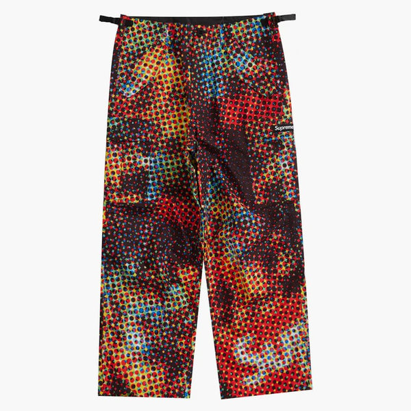 Supreme Gore-tex Paclite Cargo Pant Multicolor