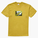 Nejvyšší pozdravy čaj kyselina žlutá