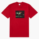 Nejvyšší peklo čaj červená