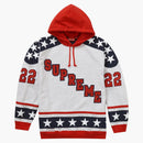Supreme Hockey Hooded Sweatshirt (FW22) Ash Gray